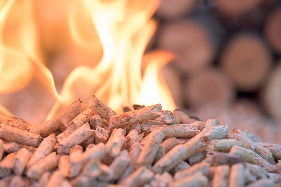 Pellet combustion Pellet combustion